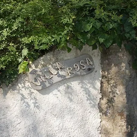 Rosa