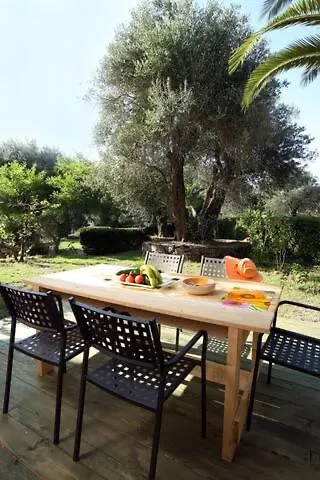Rosa 3*