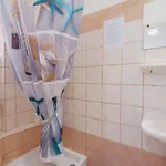 Rosa Apartahotel 3*
